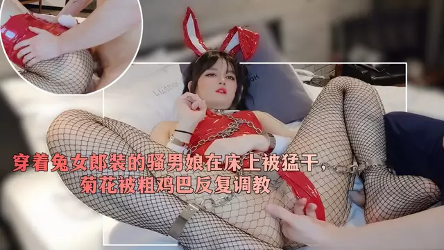 兔女郎裝的騷男娘在床上被粗雞巴反覆調教